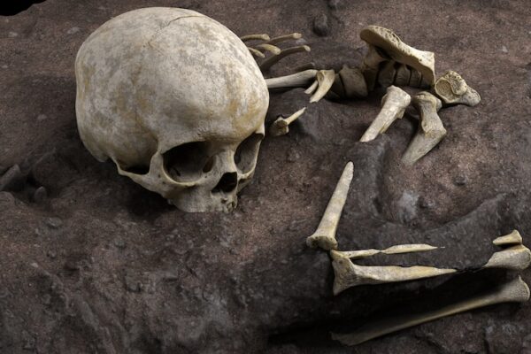 Archaeological Breakthrough: Oldest Burial Site Unearthed in South Africa Sheds Light on Human Evolution