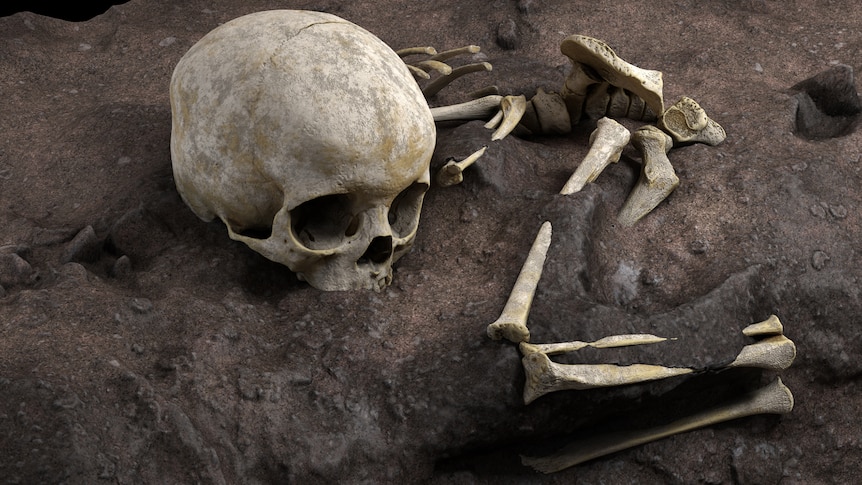 Archaeological Breakthrough: Oldest Burial Site Unearthed in South Africa Sheds Light on Human Evolution